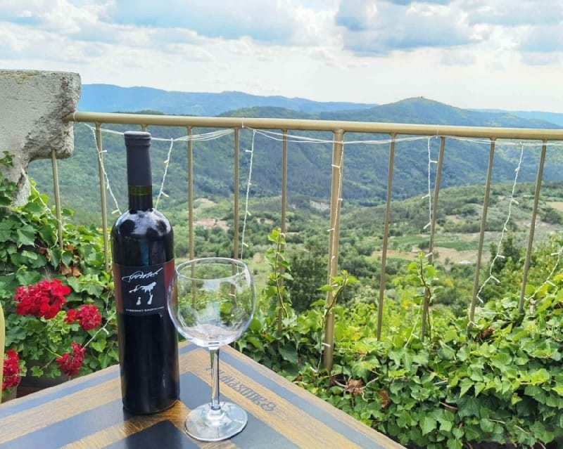 Lokalna vina iz Istre